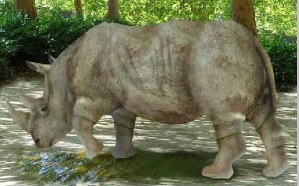 Creation of Rhino: Step 18